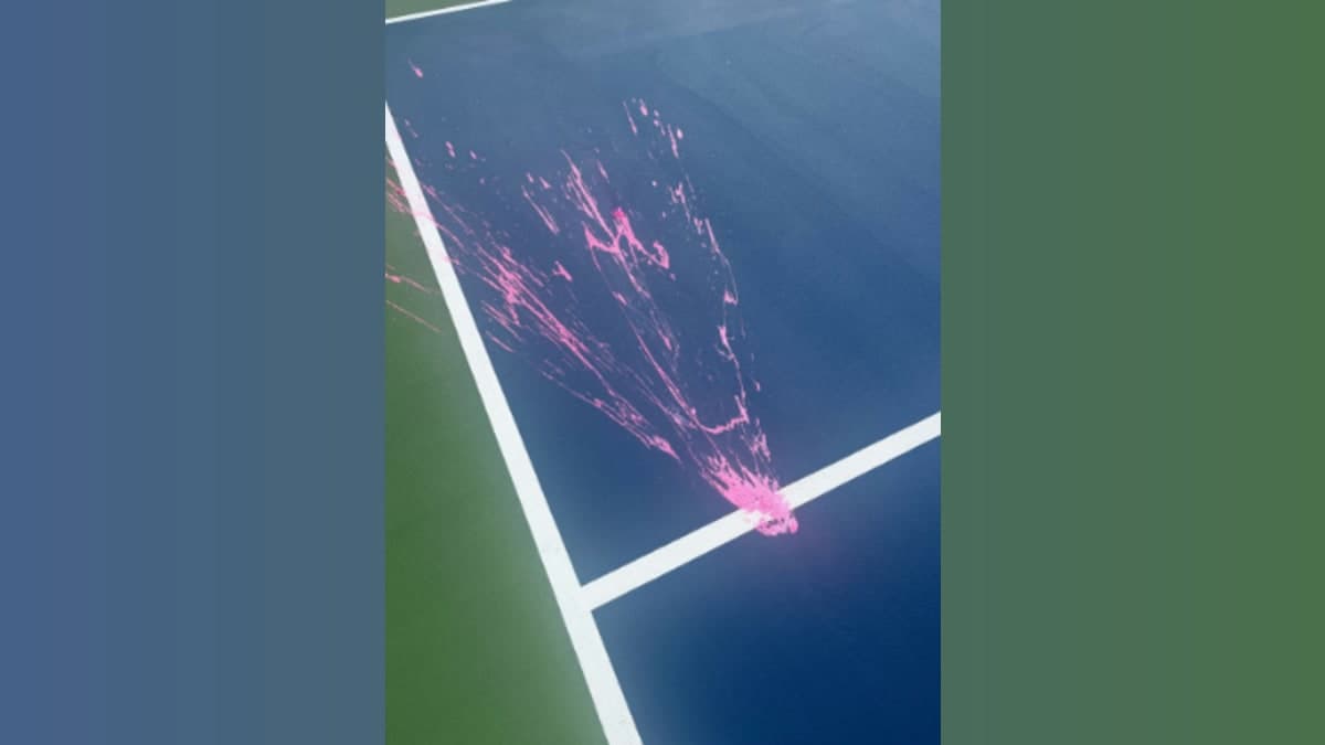 Vandalism delays opening of three pickleball courts at Bonnerworth Park