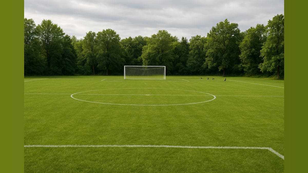 Border Collies Keep FIFA Pitch Geese-Free in Stirling
