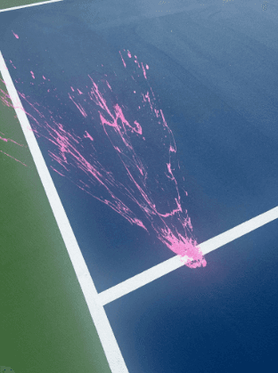 Vandalism delays opening of three pickleball courts at Bonnerworth Park